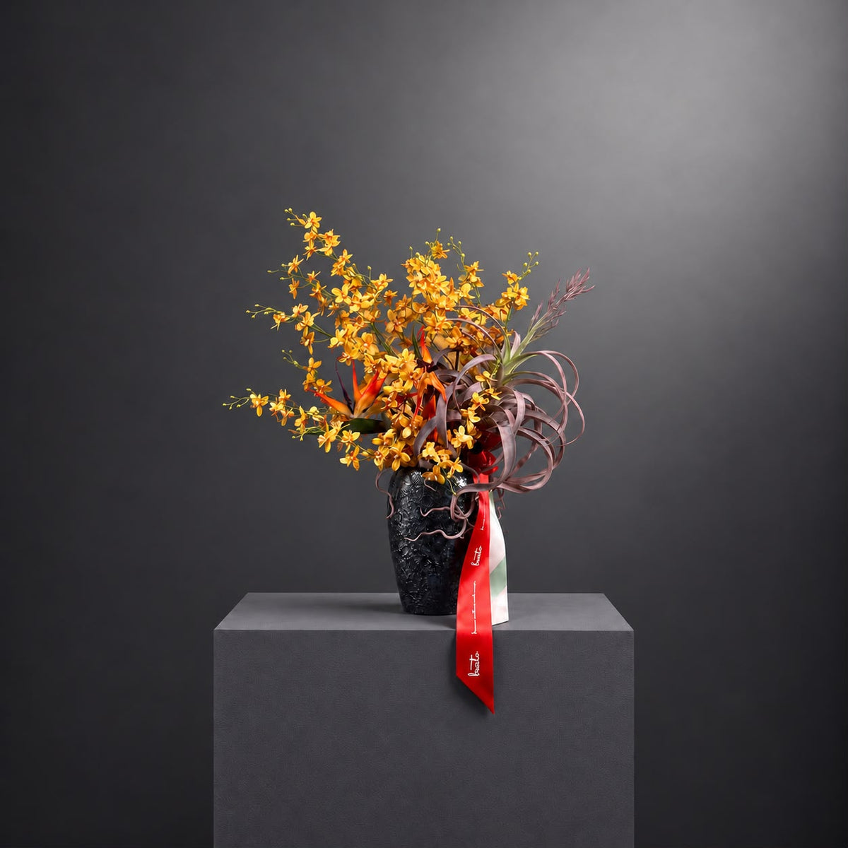 BEATO | MASTERPIECE COLLECTION — AMBER NOIR
