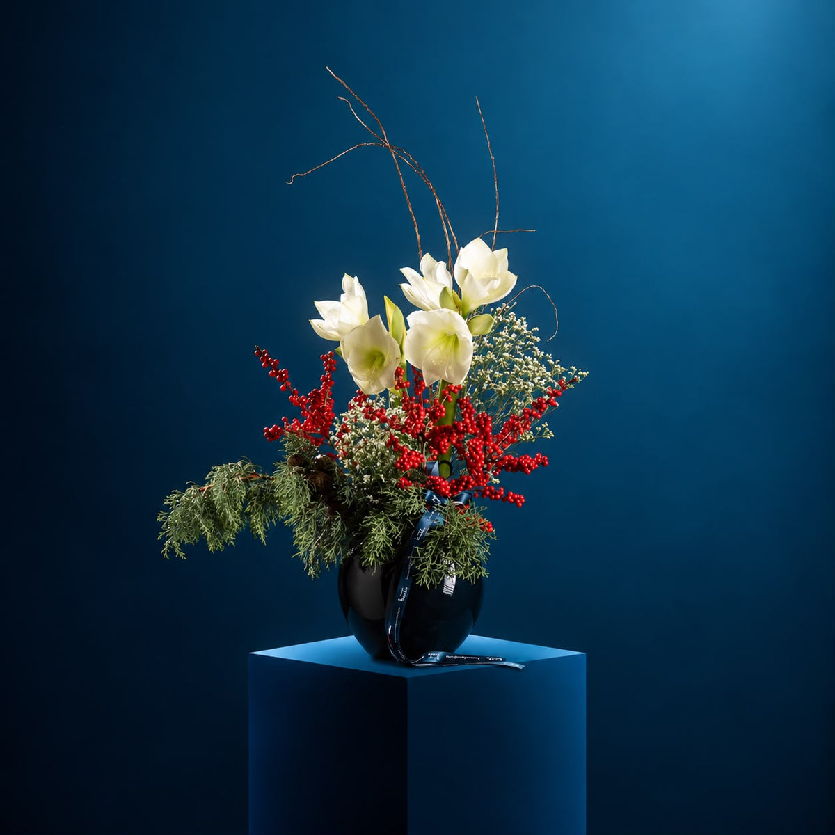 WHITE CHRISTMAS — Amaryllis Styling