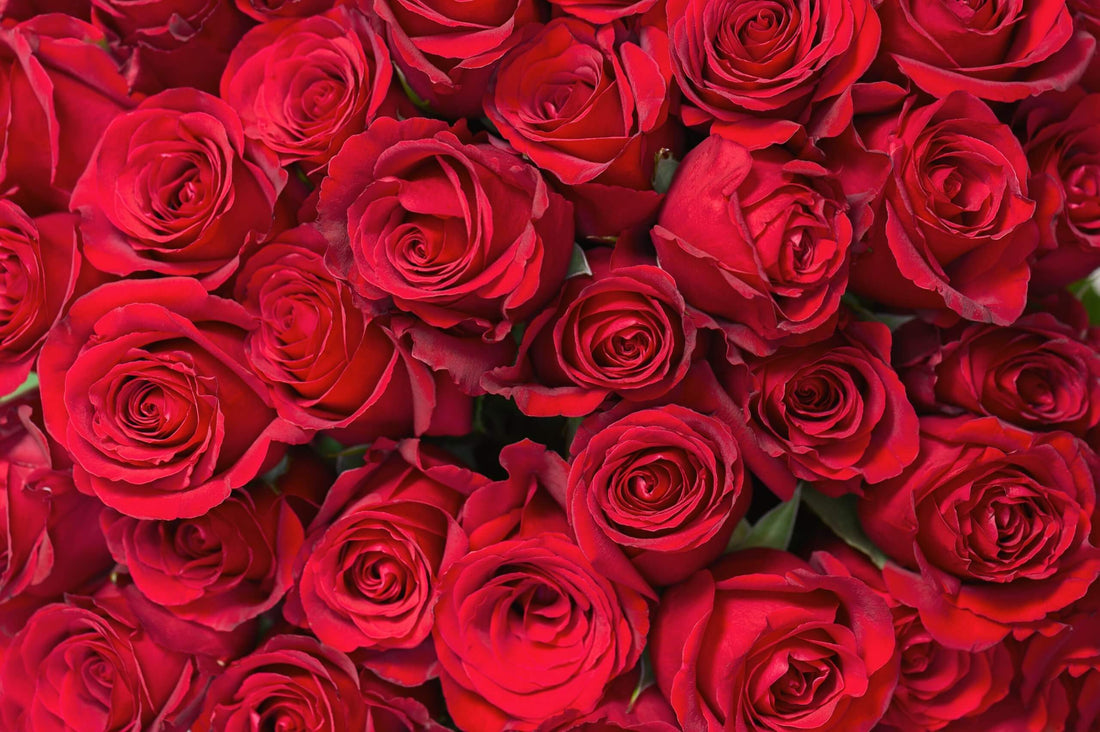 Valentine Flowers Arrangements