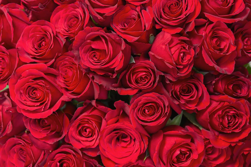 Valentine Flowers Arrangements