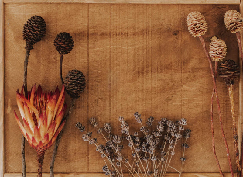 Are Dried Flowers Bio-Degradable?