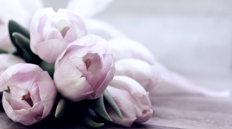 Best Mothers Day Gifts for your Mom