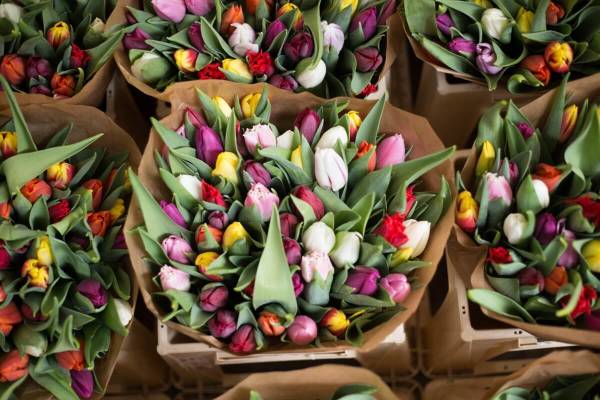 How To Wrap A Flower Bouquet