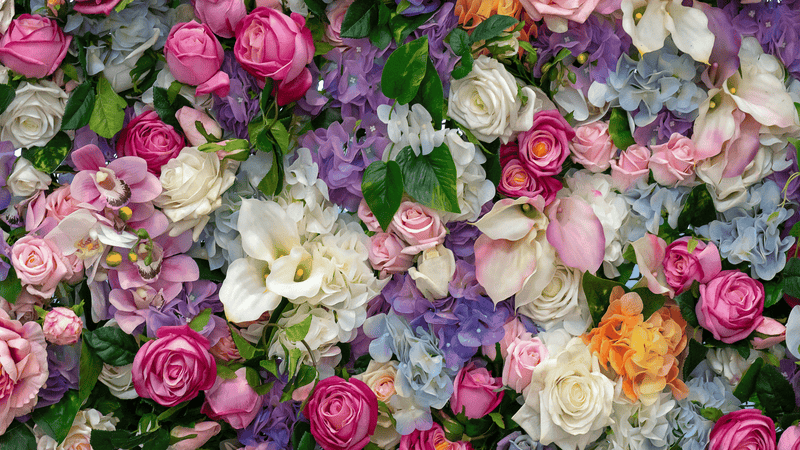 From Seed to Bouquet: The Journey of Flowers in Singapore’s Flower Shops