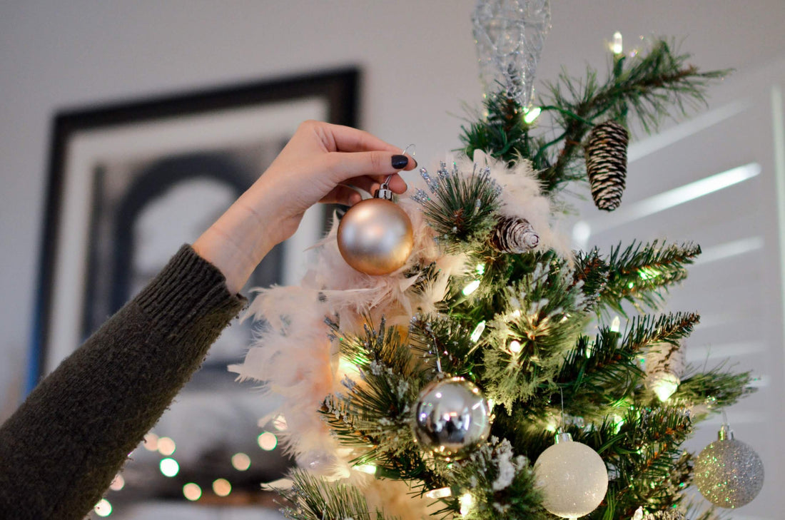 How to Pick Your Christmas Tree