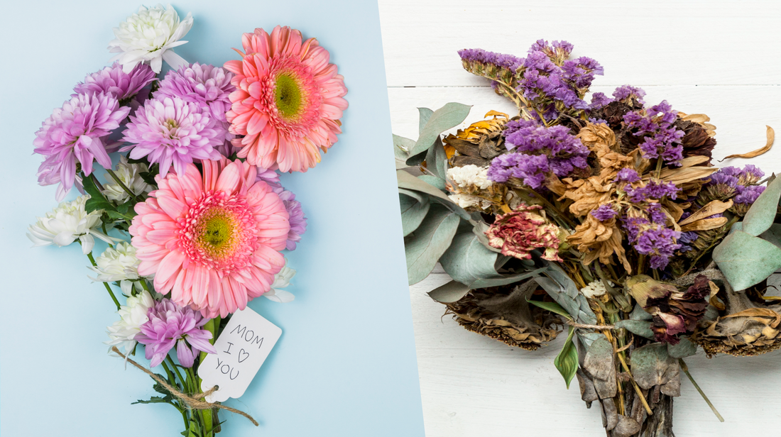 Side-by-side comparison of fresh flowers and dried preserved flowers, illustrating their differences in appearance, longevity, and maintenance. The image helps explain how customers can choose the best floral option based on their needs and preferences.