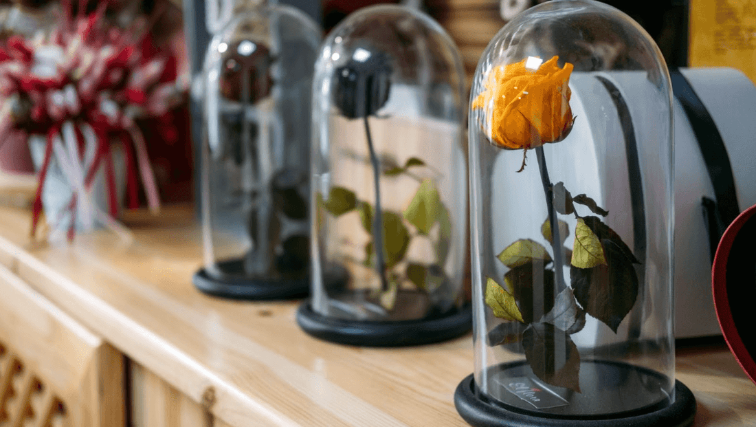 5 Reasons Why Preserved Flowers Are the Perfect Gift for Any Occasion