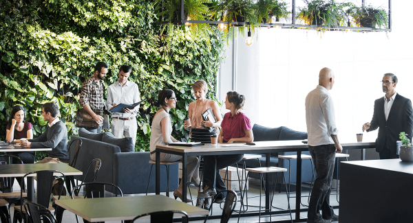 Why Flowers & Potted Plants Are Perfect Ornaments for Workspace