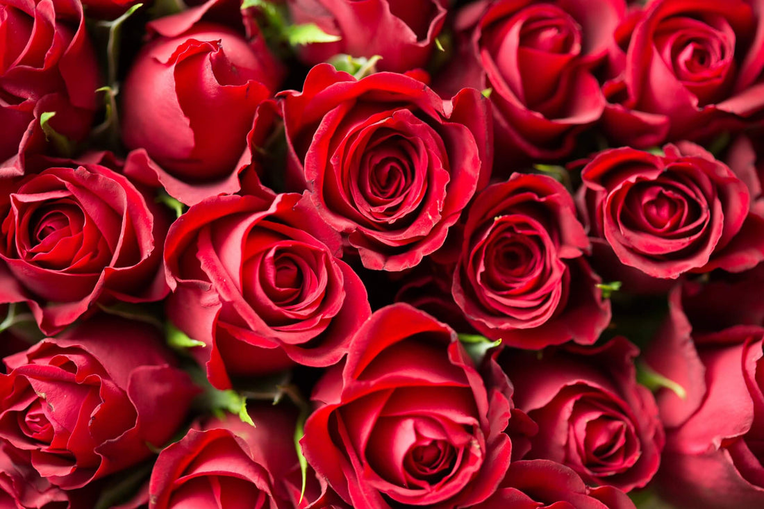 What are the 7 Valentine’s Days? (All you Need to Know)