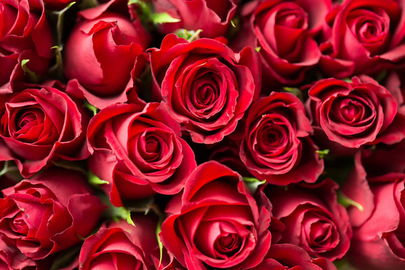 What are the 7 Valentine’s Days? (All you Need to Know)
