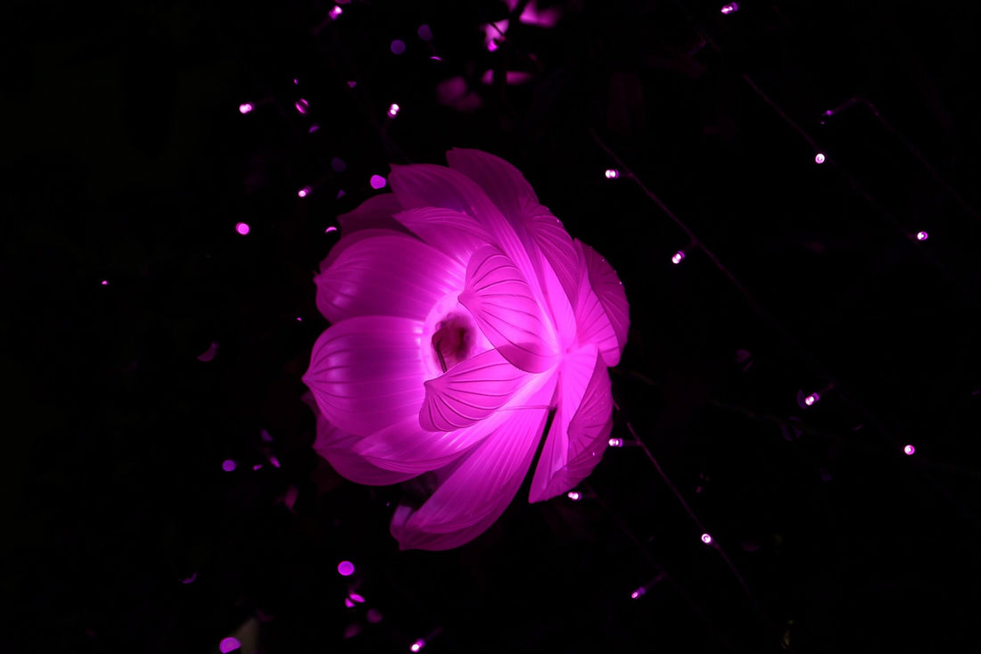 Which Artificial Flowers Look Real | Top 20 Artificial Flowers that look Real