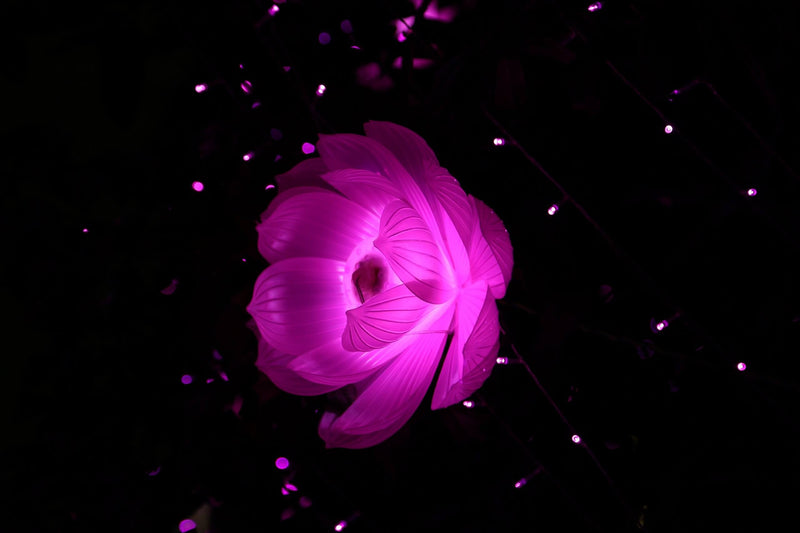 Which Artificial Flowers Look Real | Top 20 Artificial Flowers that look Real
