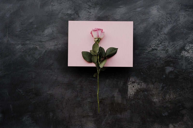 Special Valentine’s day card messages