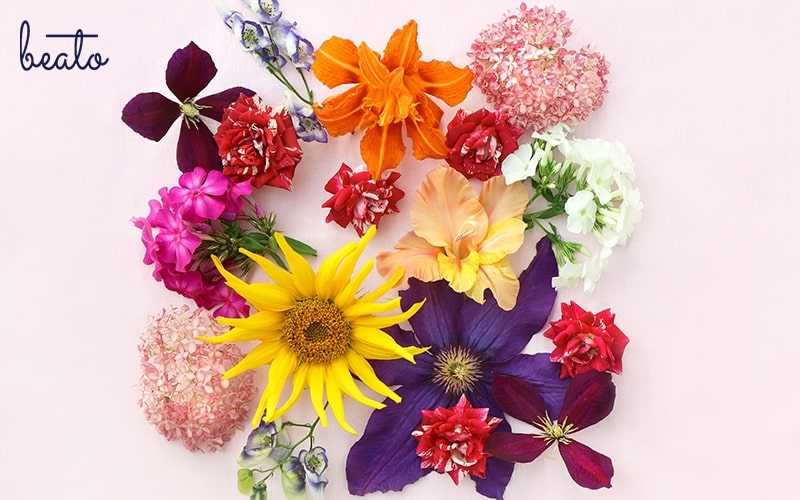 The Ultimate Guide to Colour Theory in Floristry: Elevate Your Floral Designs