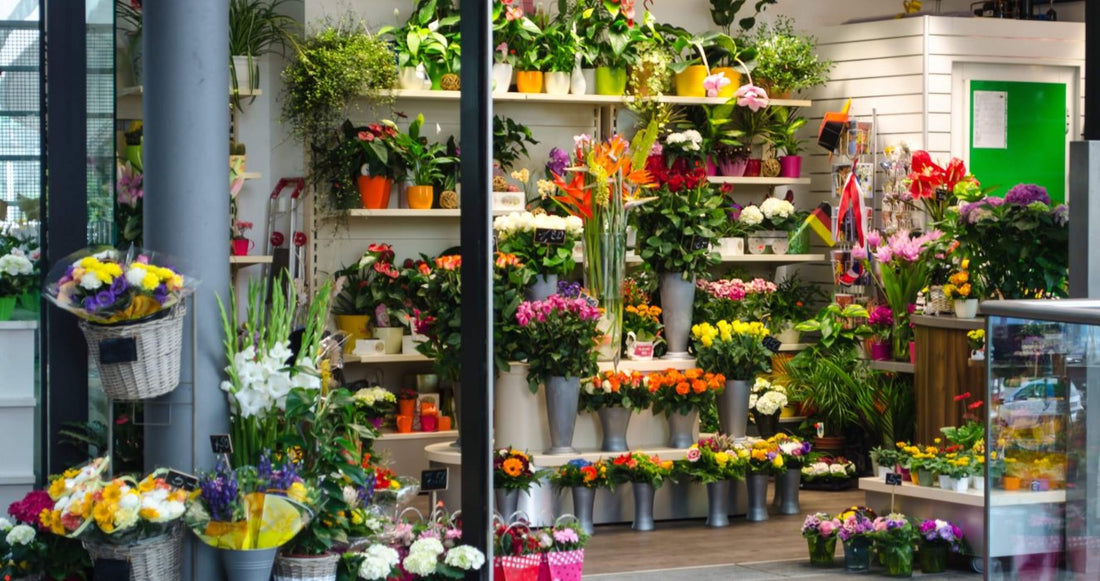 Capturing Moments: Creative Ideas for Using Free Flower Tripod Delivery in Singapore
