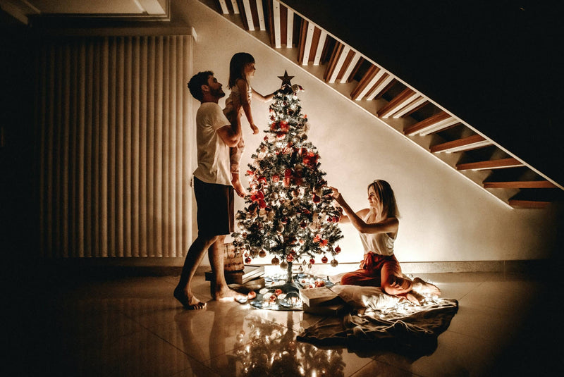 Taking care of your Christmas Trees and Mini Christmas Trees