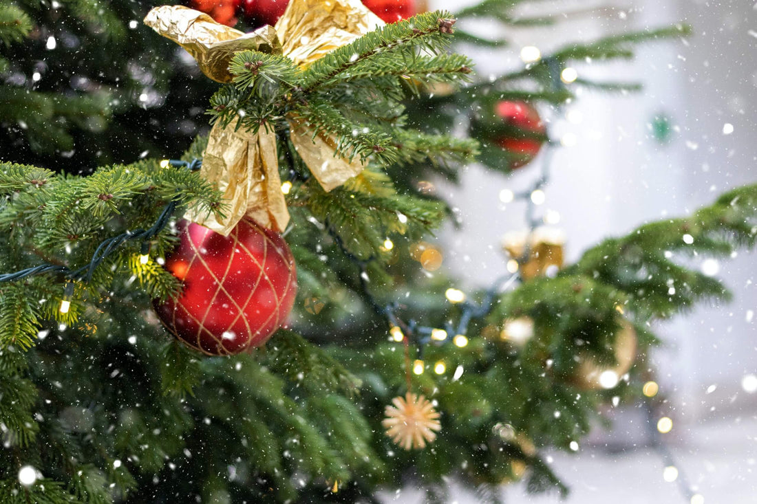 Mini Christmas Trees vs. Traditional size Christmas Trees – A New Craze