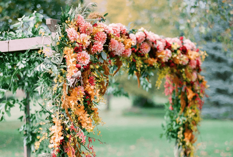 5 Stunning Mokara Orchid Arrangements for Any Occasion