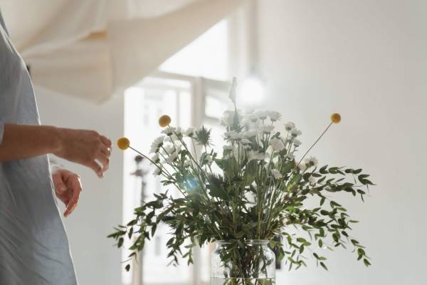 Which Flowers is Best Suited for Congratulating Someone?