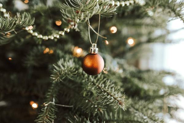 Christmas decorations for your home using natural plants and fresh flowers