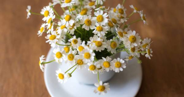 Flowers that help relieve stress & anxiety