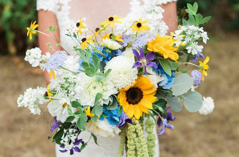 The Meaning Behind Sunflowers: Why They Make the Perfect Bouquet