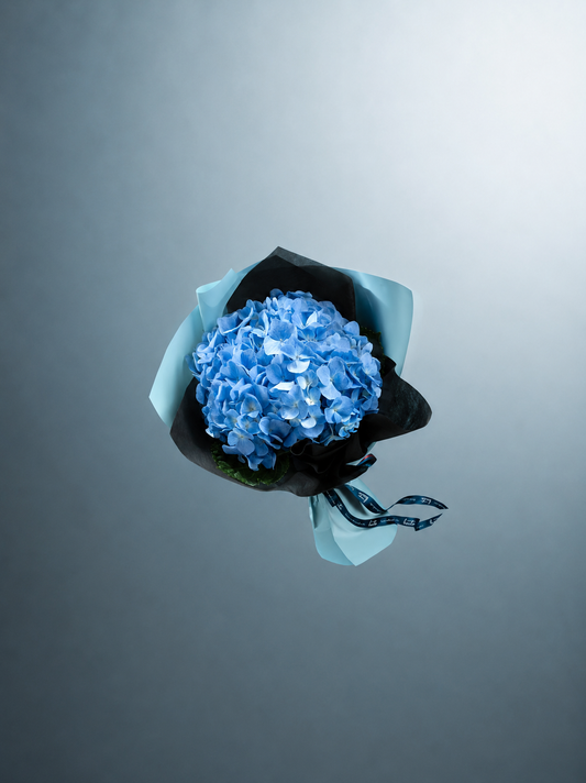 Deep Blue Memories
