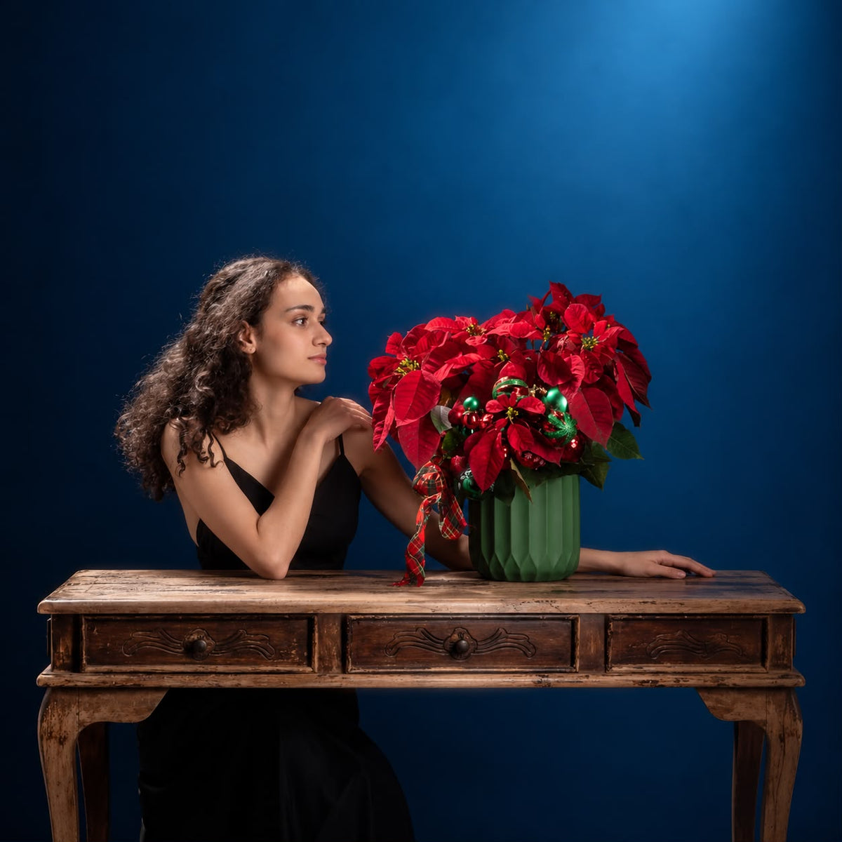 EVERGREEN NOËL - Potted Poinsettia | DELIVERIES BEGIN 16 NOV 26