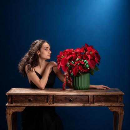 EVERGREEN NOËL - Potted Poinsettia | DELIVERIES BEGIN 16 NOV 26