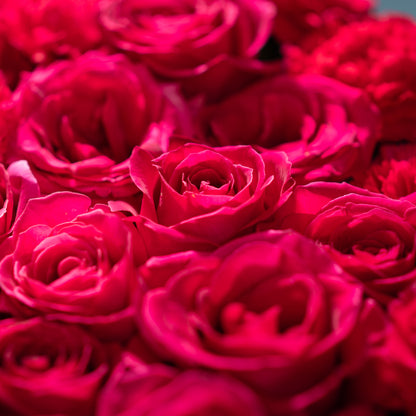 In the Color of Her Love
