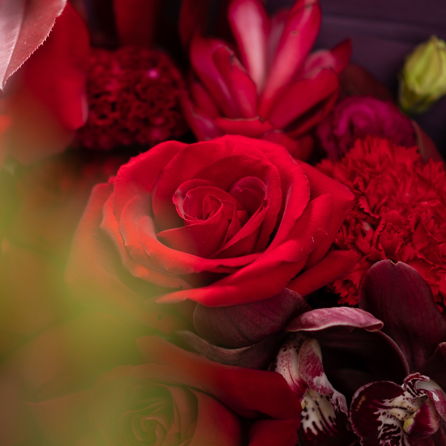 My Crimson Serenade