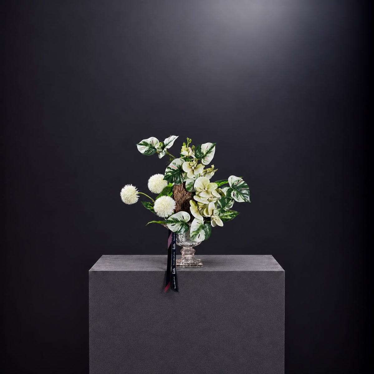 BEATO | MASTERPIECE COLLECTION -  WHERE STILLNESS GROWS