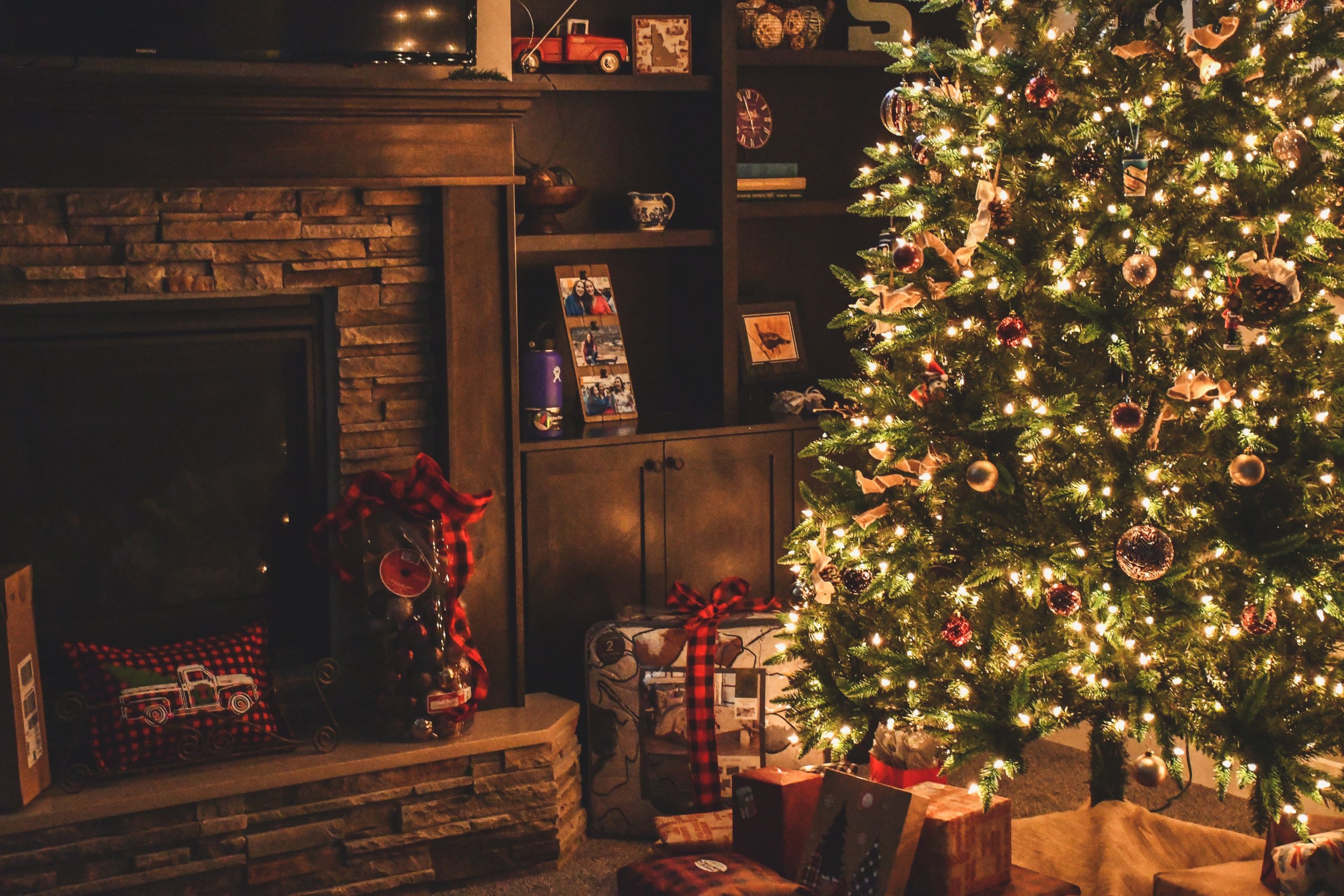 Different types of Christmas Trees (Detailed Guide)