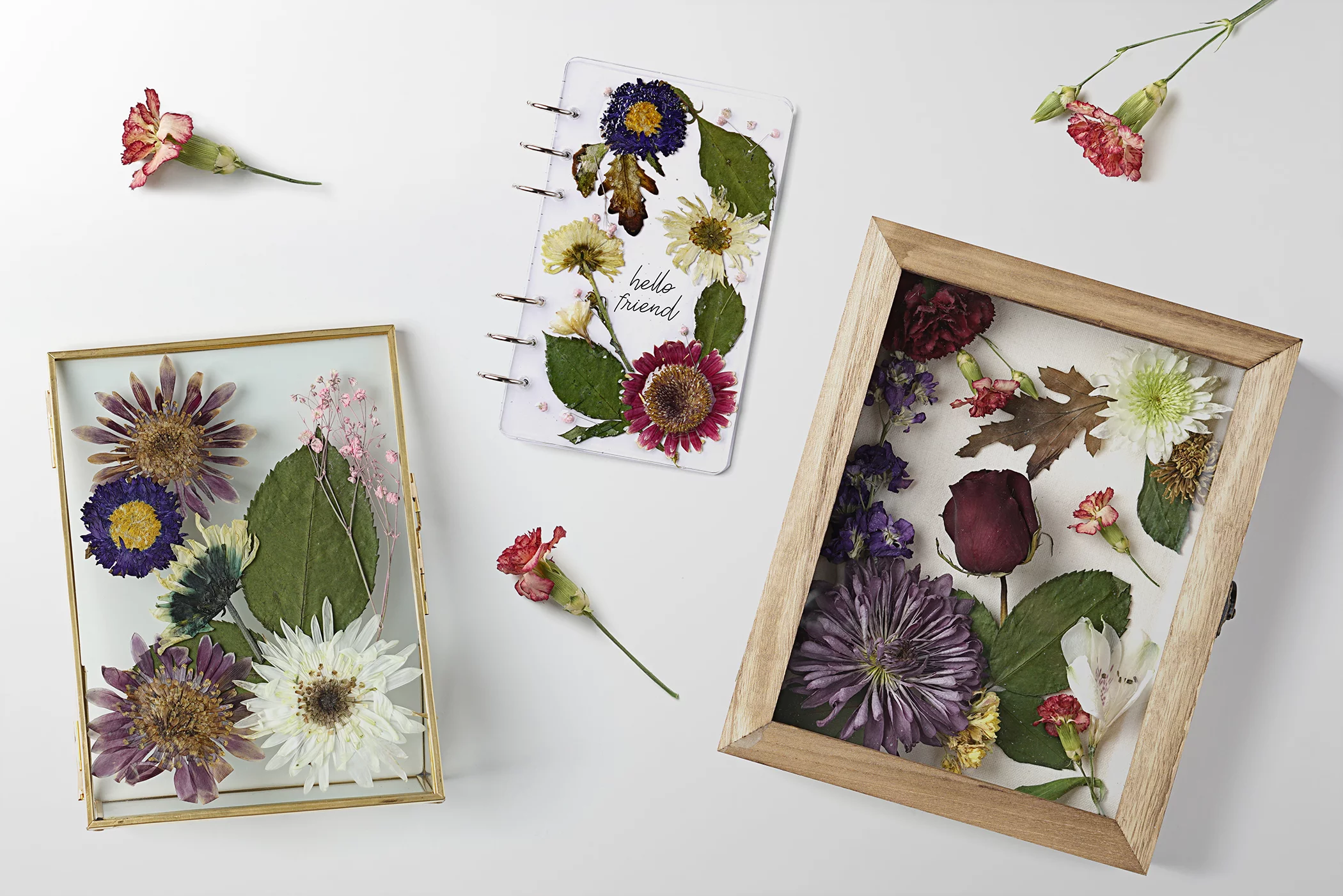 preserved flowers in frame